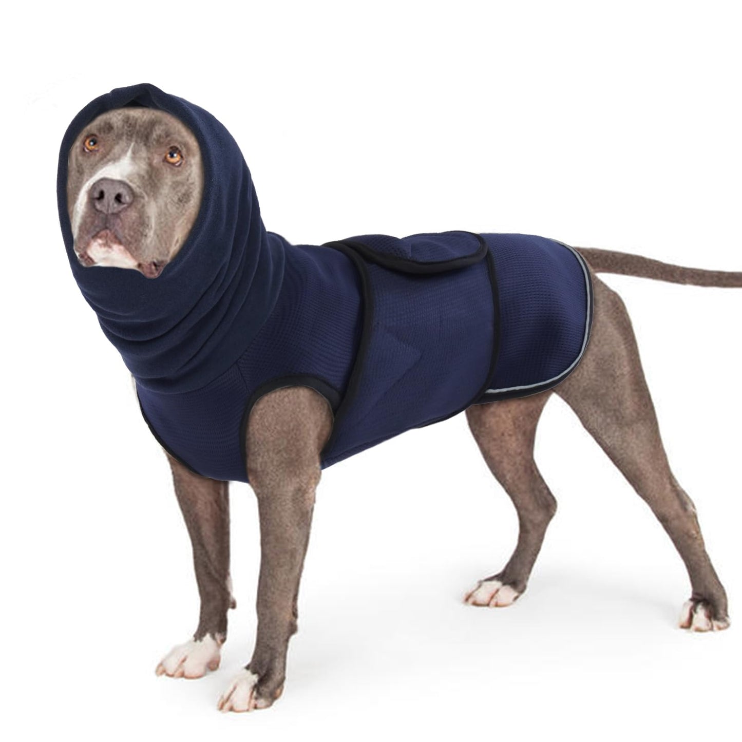 Moo&Co CalmCove™ Comfort Hoodie - For The Bigger Dogs Who Need It Most