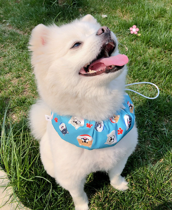 Moo&Co ChillPaws™  Cooling Scarf - Beat The Heat, One Wag At A Time.