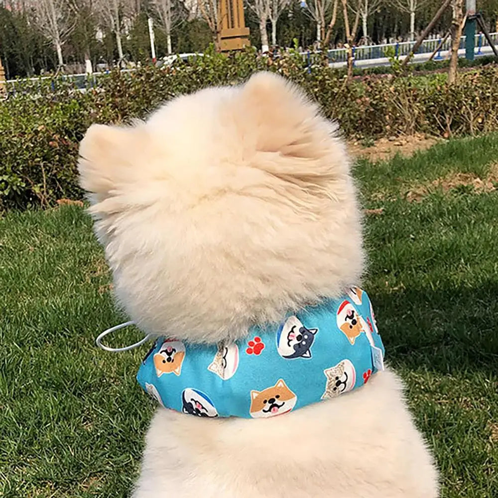 Moo&Co ChillPaws™  Cooling Scarf - Beat The Heat, One Wag At A Time.